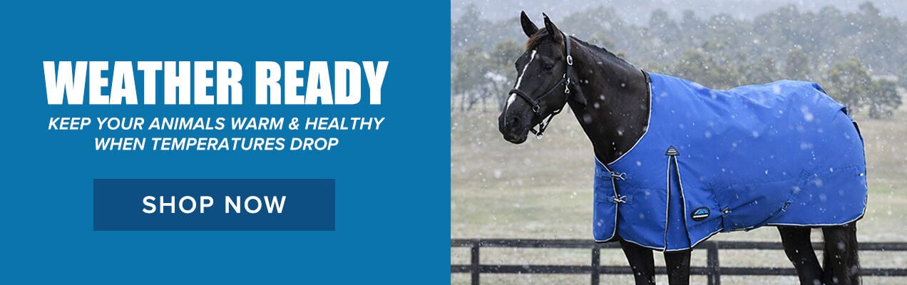 Weather Ready: Keep Your Animals Warm & Healthy When Temperatures Drop. Shop Now.